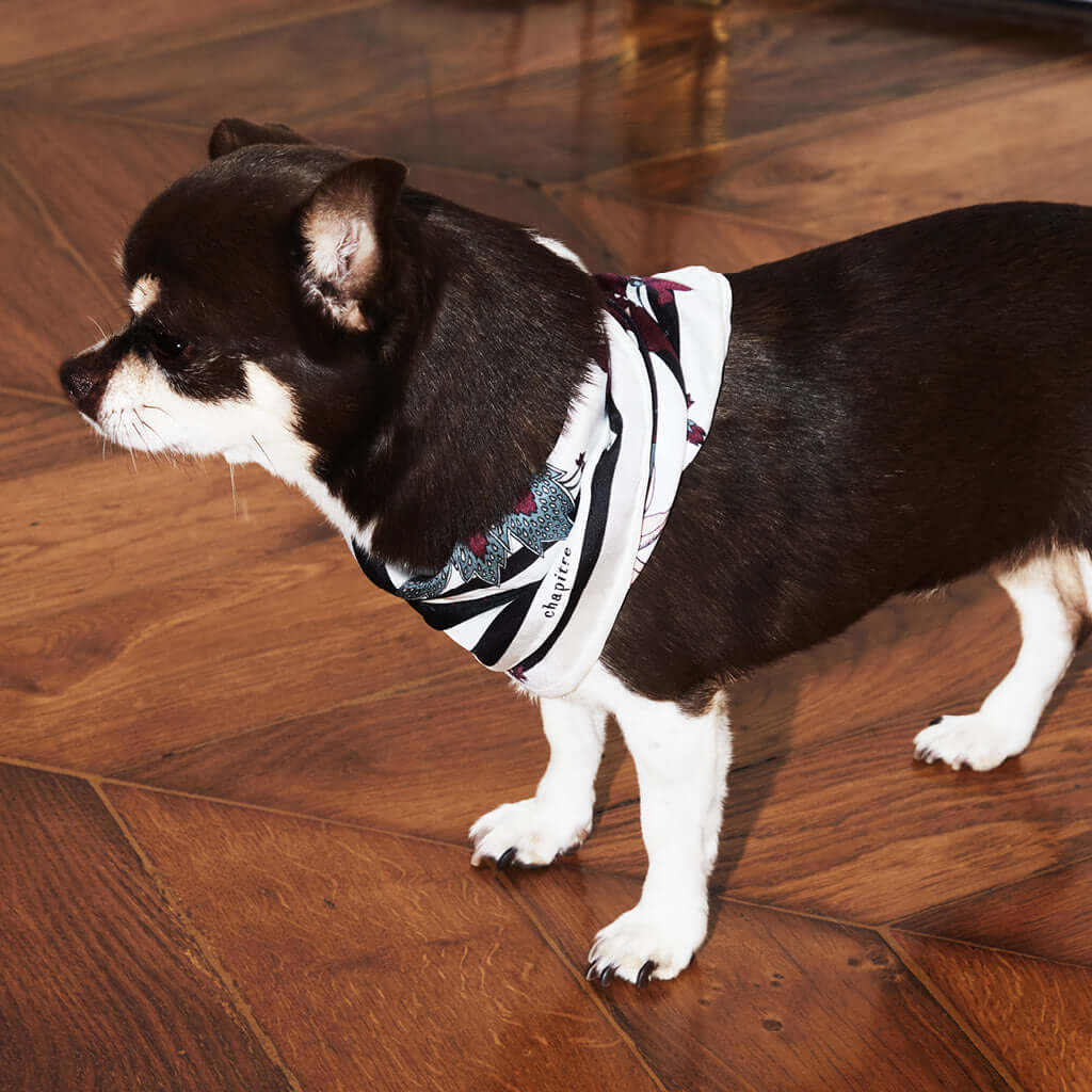 Petit carré de soie Le Parfum, fabriqué en France.Découvrez ce beau carré 100% soie, foulard rose motif floral pour homme et pour femme, roulotté à la main et fabriqué en France.